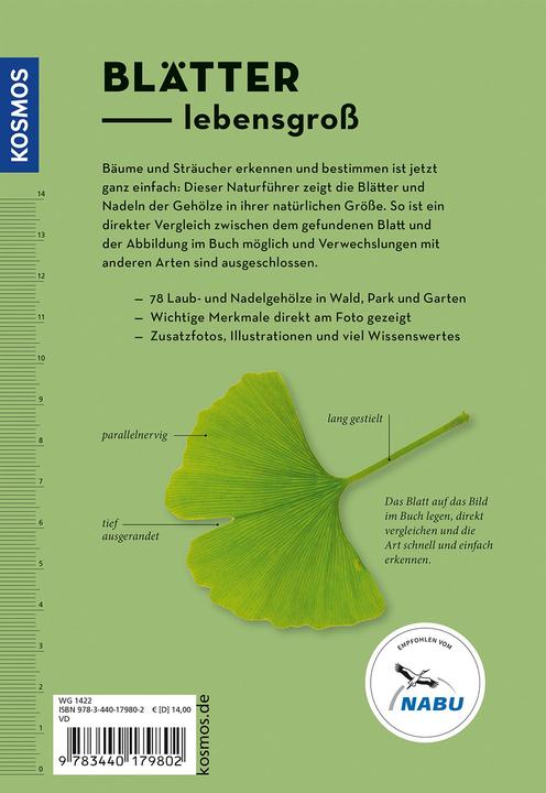 Produktbild Kosmos Bäume am Blatt erkennen - 78 Laub- und Nadelgehölze. Blätter in Originalgrösse (Deutsch, Meike Bosch, 2024)