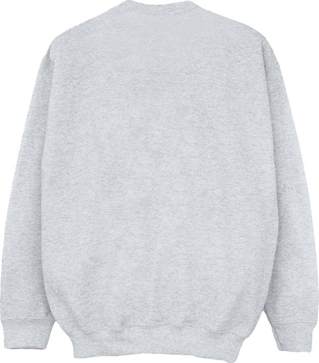 Image du produit Friends - Sweat FAIR ISLE CENTRAL PERK - Fille (116)