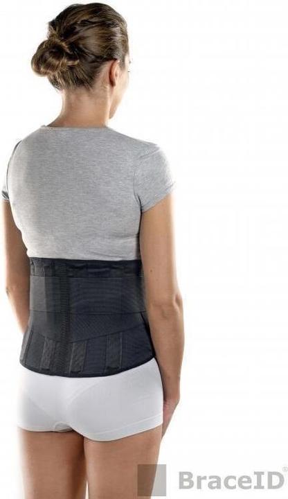Image du produit BraceID Contoured Back Support (XL)