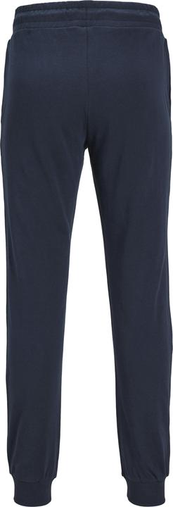 Image du produit Jack & Jones Pantalon de jogging Mini Jogging (116)