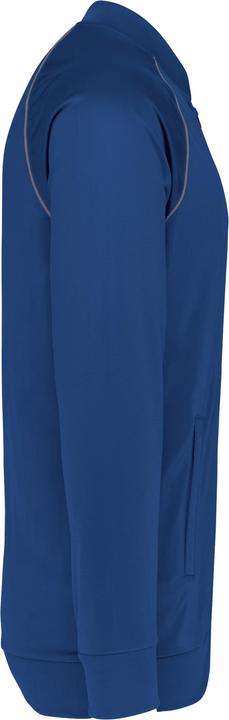 Dark Royal Blue