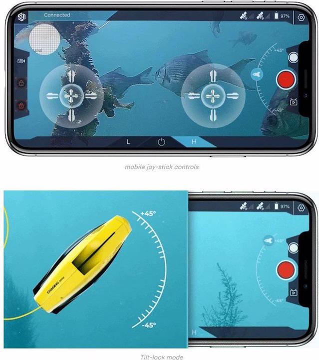 Produktbild Chasing Dory