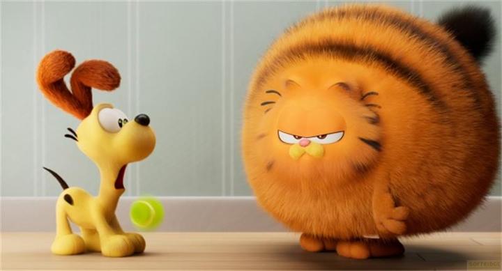 Actual product image Sony Garfield (Blu-ray, 2024, German, Italian, English)