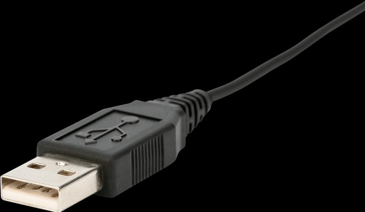 Actual product image Jabra Evolve 40 UC Mono (Cable, USB-A)