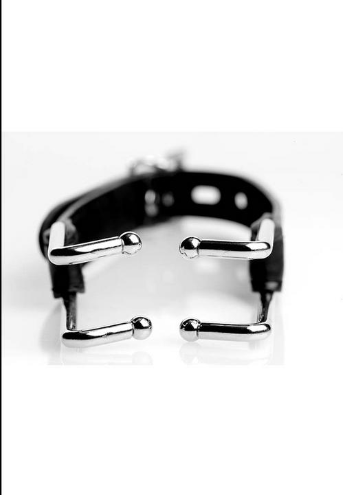 Image du produit XR Brands Metalen Mondspreider Met Kunstleren Band
