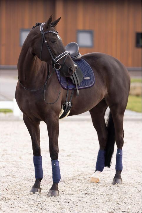 Image du produit Imperial Riding Sky
