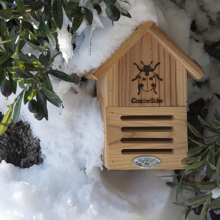 Produktbild Esschert Design Marienkäferhaus mit Silhouette (Marienkäfer)