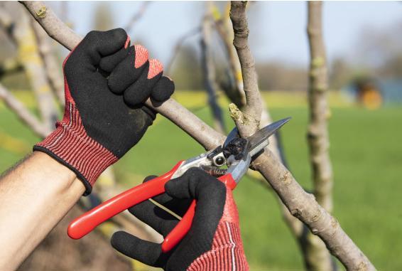 Image du produit Felco Gants de jardinage (L)