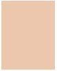 Image du produit Bourjois Healthy Mix Clean & Vegan BB Cream (crème de beauté saine et végétalienne) (03 Beige)