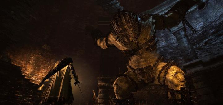Image du produit Capcom Dragon's Dogma : Dark Arisen -US- (Switch, Switch Lite, Switch OLED, EN)
