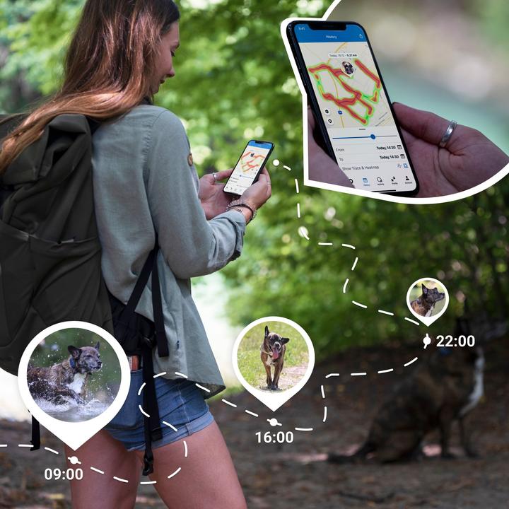 Actual product image Tractive Dog 4 GPS Tracker for Dogs (Cat, Dog, Walks)