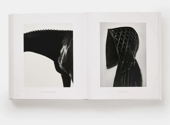 Image du produit Steven Klein (Anglais, Mark Holborn, Steven Klein, 2022)
