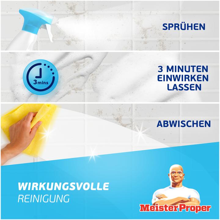 Actual product image Meister Proper Badreiniger Spray