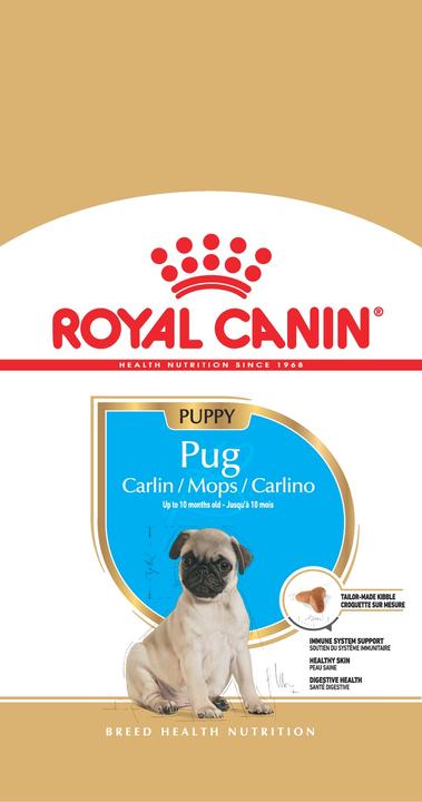Actual product image Royal Canin Pug Junior (Junior, 1 pcs., 1500 g)