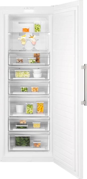 Image du produit Electrolux SG405N (Autonome, 406 l)
