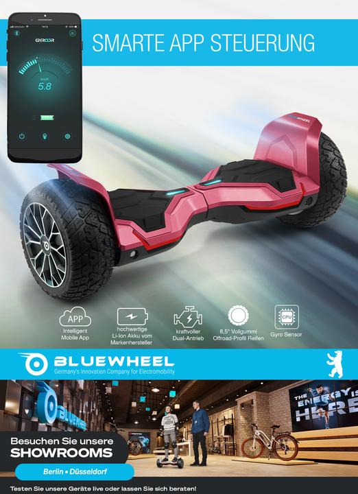 Actual product image Bluewheel HX510 (15 km/h, 700 W)