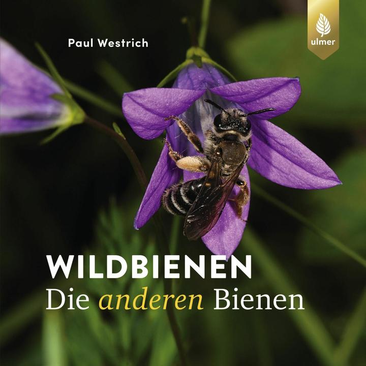 Actual product image Westrich:Wildbienen die anderen Bienen (German, Paul Westrich, 2024)