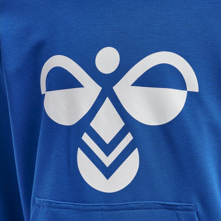Immagine prodotto hummel Cuatro Hoodie (110)