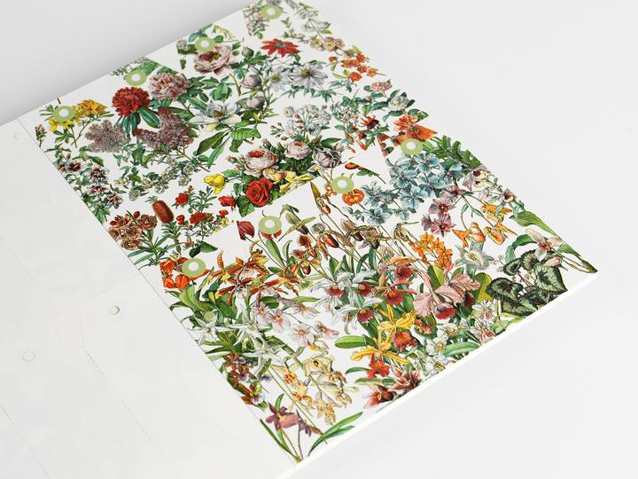 Produktbild Motivpapier (571 g/m², 1 x)