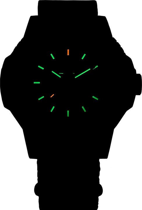 Actual product image Traser 111460 (46 mm)