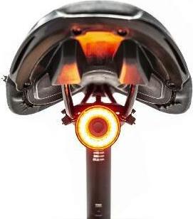 Actual product image Toad toad eye