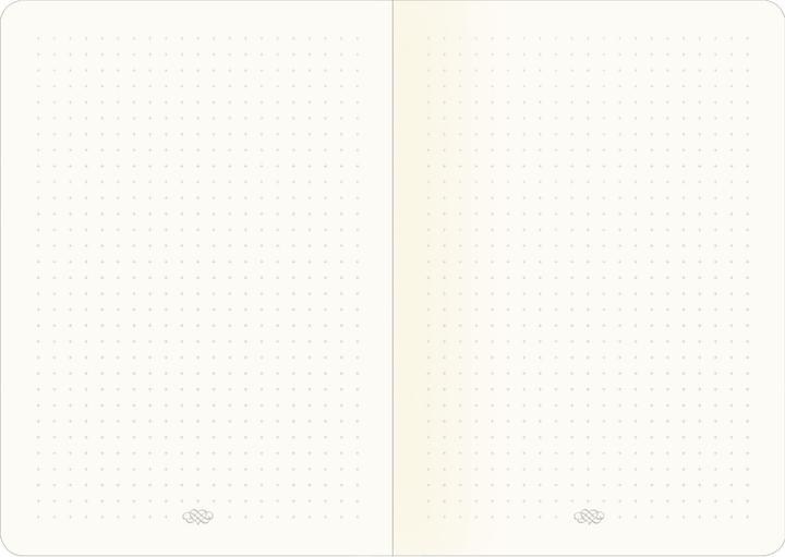 Actual product image Notebooks DIN A5 (A5)