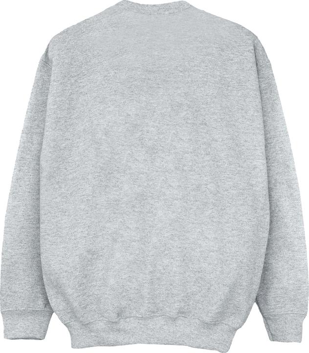 Produktbild SpiderMan Amazing Sweatshirt (XL)