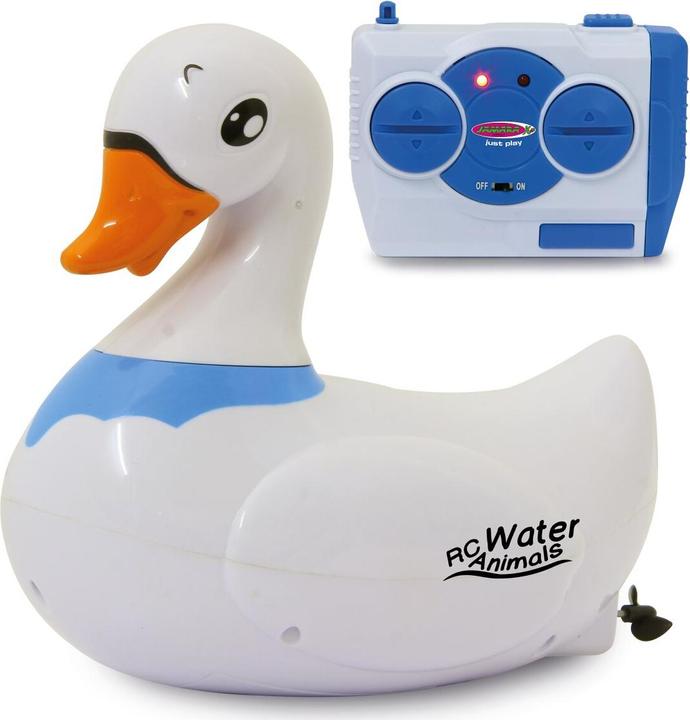 Schwan