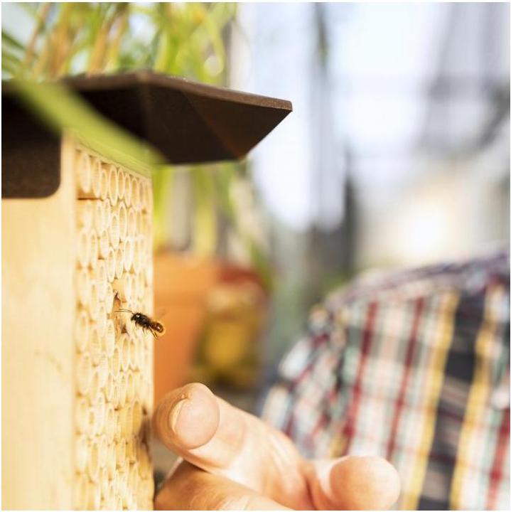 Actual product image Wildbiene BeeHome One (Wild bees)