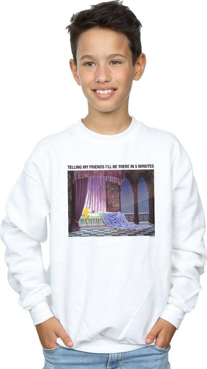 Actual product image Disney Boys Sleeping Beauty I'll Be There In 5 Sweatshirt (140, 146)