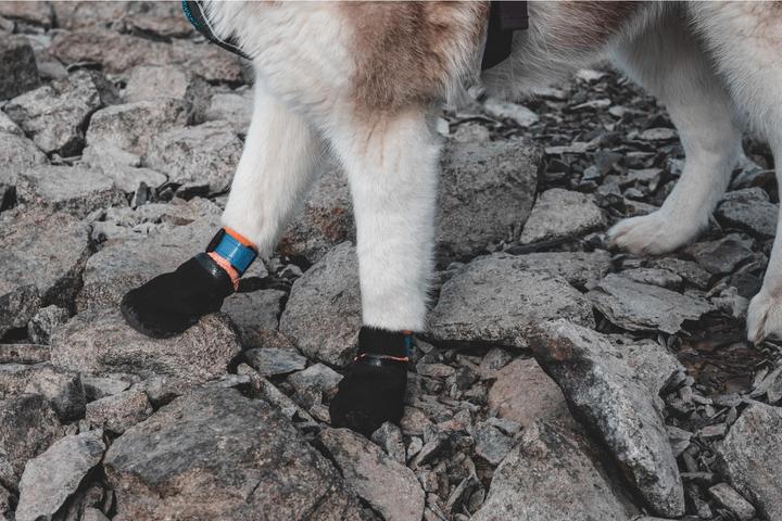 Produktbild Non-Stop Dogwear Pector Booties 4 Stk (L, Hundeschuhe)