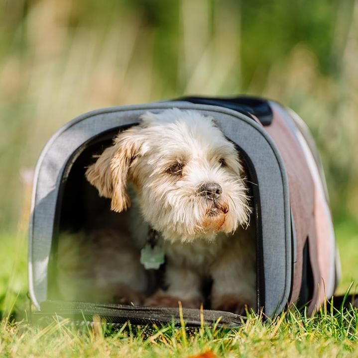 Actual product image Nobby Backpack Plata (old pink-grey) (Dog, Cat, Reflectors, Breathable)