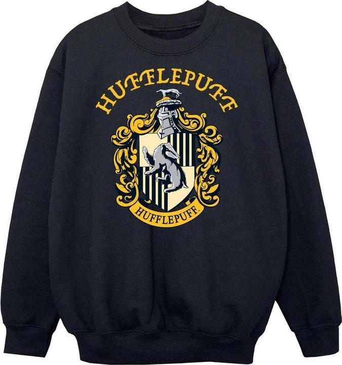 Produktbild Sweatshirt Jungen (116)