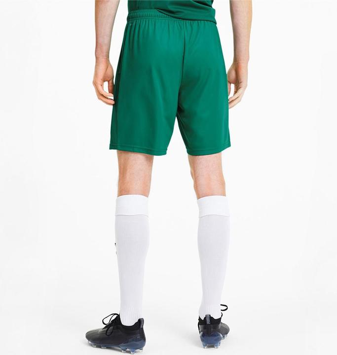 Produktbild Puma teamGOAL 23 knit Shorts-704262 (S)