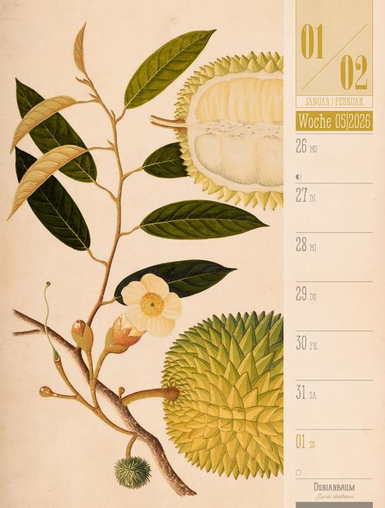 Produktbild Culinarium - Küche, Kräuter, Kurioses - Vintage Wochenplaner Kalender 2026 (25 x 33 cm, Harter Einband, Deutsch)