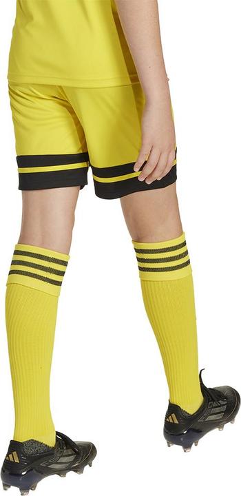 Actual product image adidas Squadra 25 Short Kids (152)