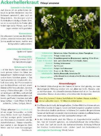 Produktbild Die Kräuter in meinem Garten (Deutsch, Siegrid Hirsch, Felix Grünberger, 2022)