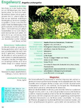 Produktbild Die Kräuter in meinem Garten (Deutsch, Siegrid Hirsch, Felix Grünberger, 2022)