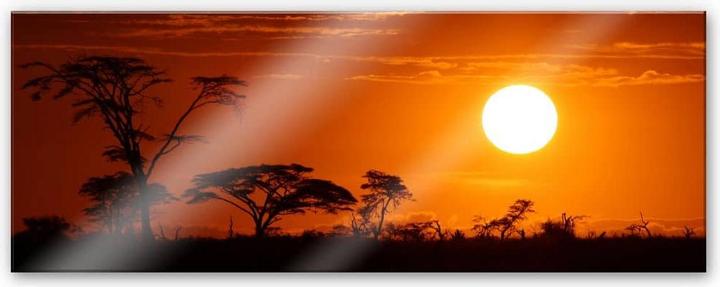 Actual product image Trenddeko African steppe - panorama (40 x 100 cm)