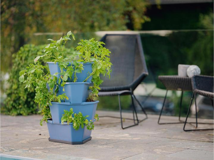 Produktbild Gusta Garden Aufzuchttöpfe PAUL POTATO Starter, 4 Etagen, Blaugrau (38.80 cm)