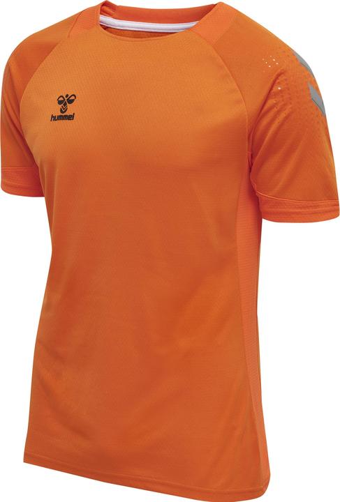 Tigre orange