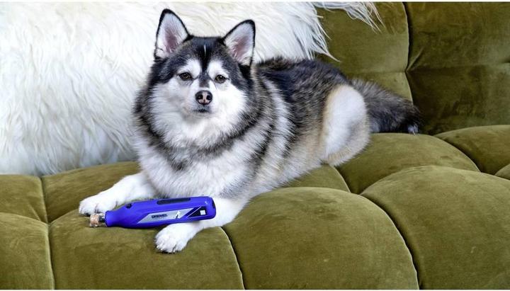 Actual product image Dremel Animal Claw Care (Dog)