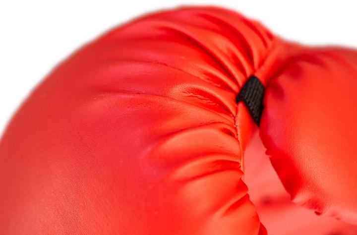 Produktbild Ju-Sports Boxhandschuhe Training rot (14 OZ)