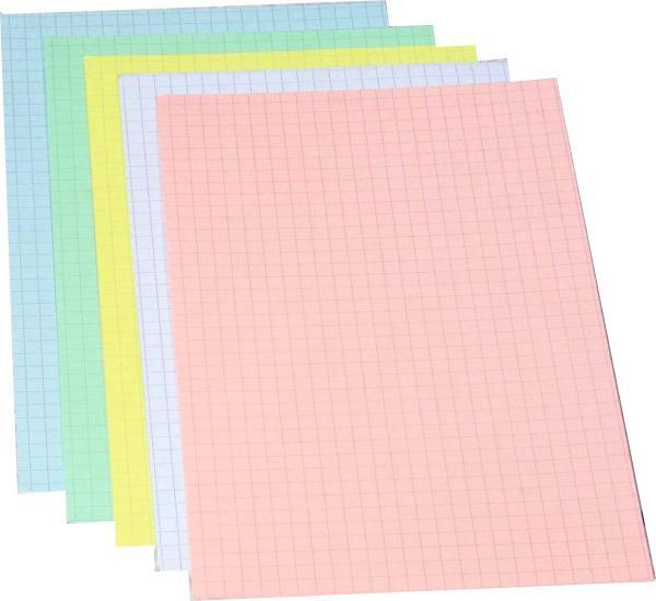 Immagine prodotto Exacompta Schede a quadretti (105 x 148 mm, 205 g/m², 100 x)