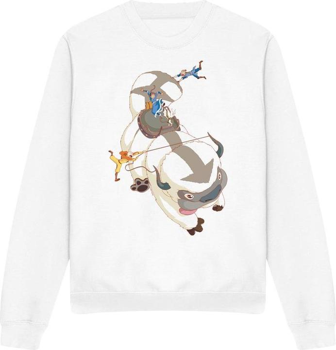 Avatar: The Last Airbender Hang On Sweatshirt