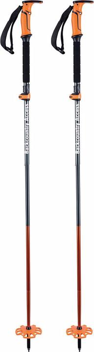 Image du produit BCA Bâton de randonnée Scepter 4S (130 cm)