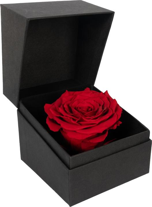 Immagine prodotto Migros Ostschweiz Rosa in confezione regalo (Fiori dell'Infinito)