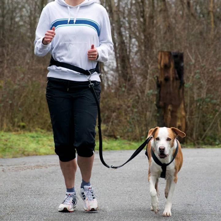 Immagine prodotto Trixie cinturino in vita con guinzaglio, nylon (M, Cane, Jogging)