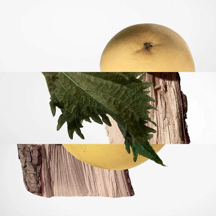 Image du produit Hermès Terre d' (Eau de parfum, 200 ml)