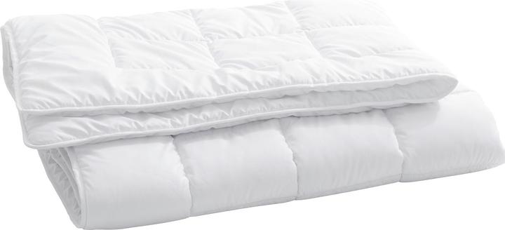 Produktbild Billerbeck Edition Seta (1050 g, 240 x 240 cm)